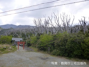 写真：椎取神社の樹叢と溶岩流