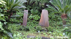 写真：井上正鉄の墓