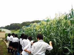 農業・食品系