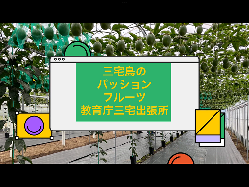 パッションフルーツ紹介
