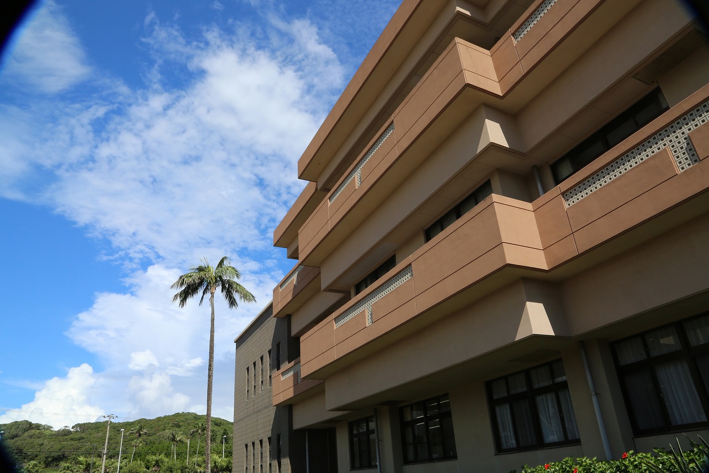 八丈高校