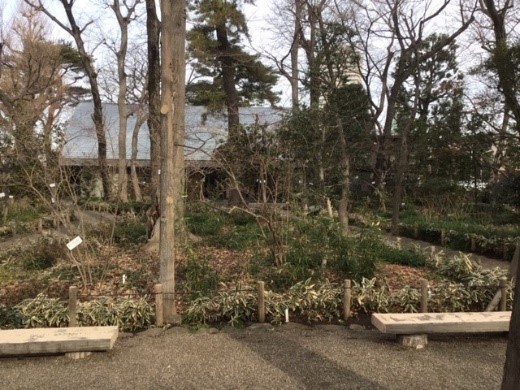 牧野記念庭園