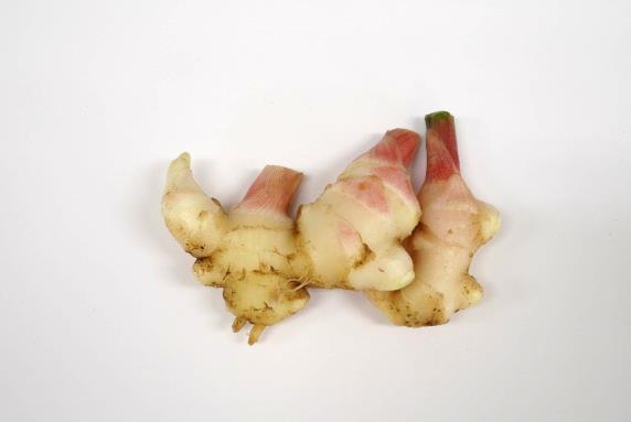 しょうがご飯の調理の様子