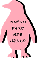 ペンギンパネル画像