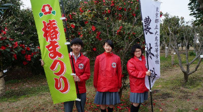 大島高等学校