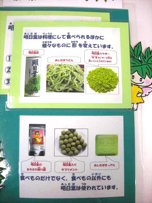 あしたばクイズの答えその2