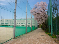 中央ろう学校