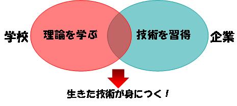 生きた技術が身につく！