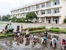日野市立滝合小学校