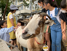 武蔵村山市立第一小学校