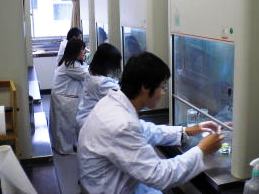 授業の様子