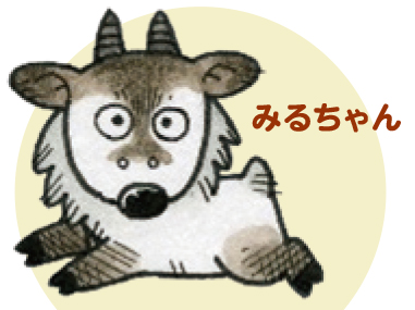 画像：みるちゃん