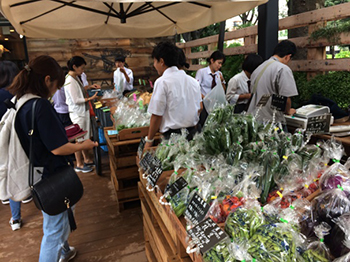 【写真】「駒沢公園ファーマーズマーケット・野菜マルシェ」(1)