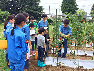 【写真】「親子向け野菜収穫体験」