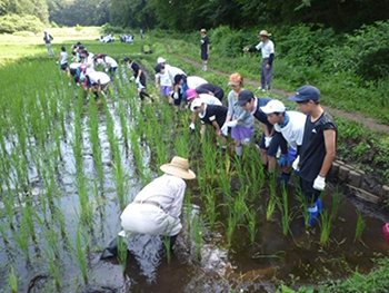 【写真】里山民家周辺での環境保全活動