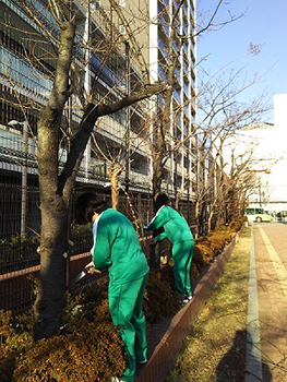 【写真】地域（土木関連）の方々と校内の樹木剪定作業