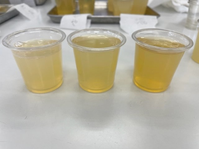 見た目にも差のある出来上がりの様子