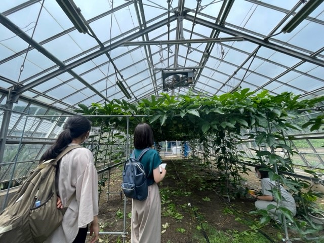 写真：農場見学の様子（草花）