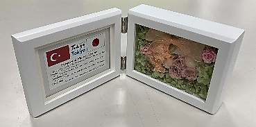 代替テキスト