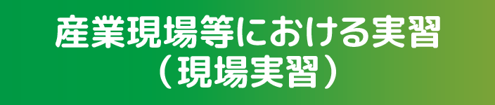 産業現場等における実習（現場実習）