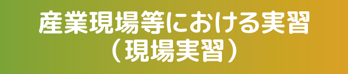 産業現場等における実習（現場実習）