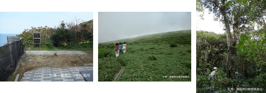 写真 御蔵島村