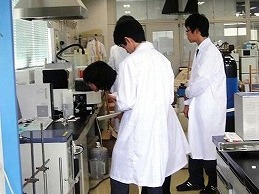 夏季休業中の活動風景