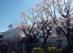 葛飾特別支援学校