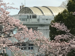 七生特別支援学校