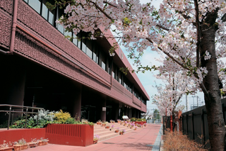写真：立川国際中等教育学校