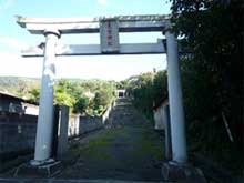 野増大宮神社のシイ樹叢・大宮神社