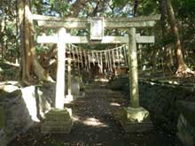 野増大宮神社のシイ樹叢・大宮神社