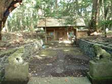 野増大宮神社のシイ樹叢・大宮神社