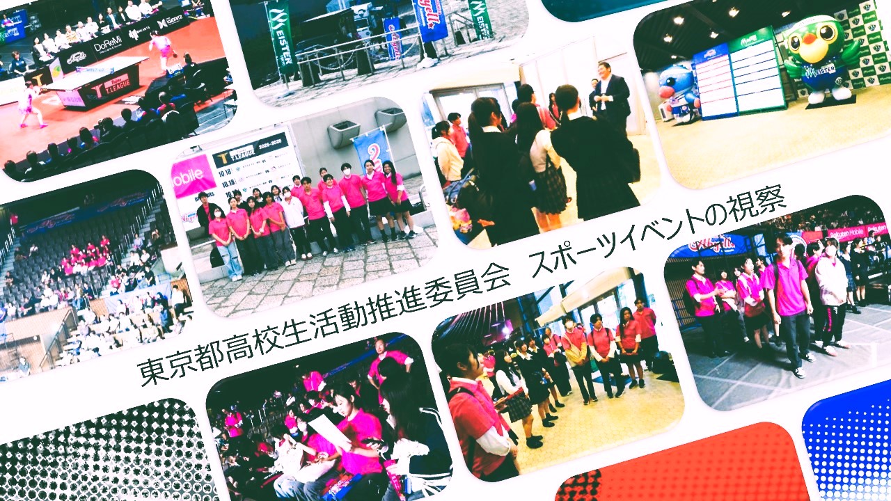 卓球視察の表紙の画像