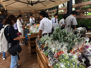 【写真】「駒沢公園ファーマーズマーケット・野菜マルシェ」(1)