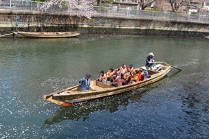 【写真】「お江戸深川さくらまつり」での手漕ぎ和船のお手伝い（2）